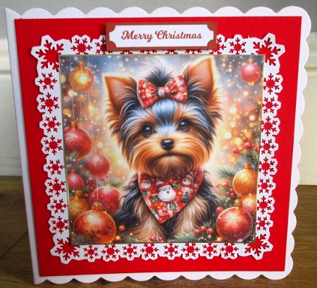 Christmas Dog 10 by Johanna Lambert