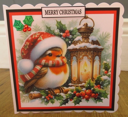 CUTE CHRISTMAS ROBIN by Johanna Lambert