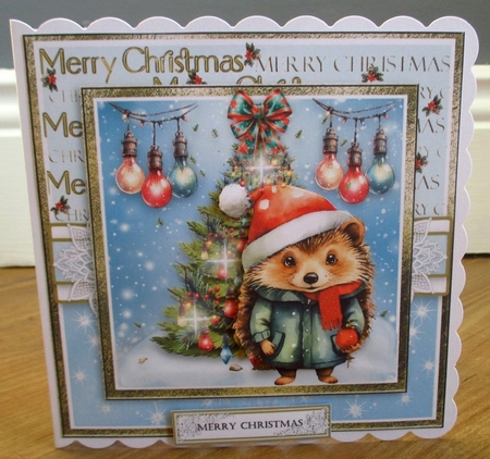 Christmas Hedgehogs by Johanna Lambert