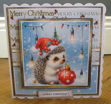 Christmas Hedgehogs by Johanna Lambert