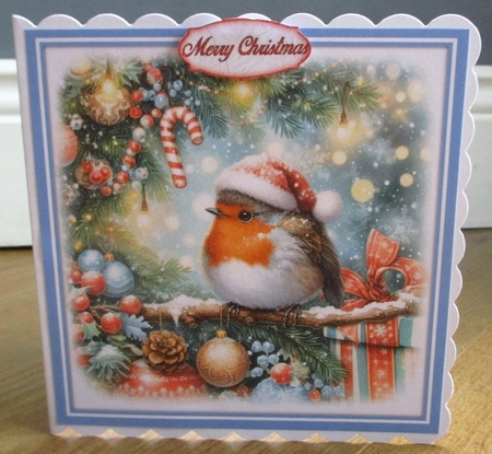 Festive Robin by Johanna Lambert