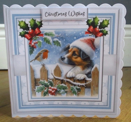 Christmas Curiosity by Johanna Lambert