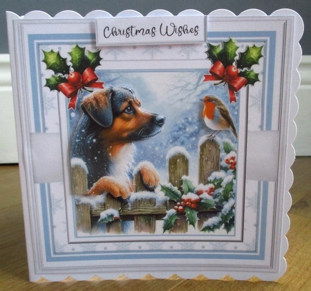 Christmas Curiosity by Johanna Lambert