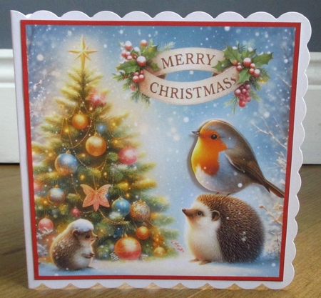 Merry Christmas Hedgehog & The Robin.  9 Piece 7x7 Complete Kit by Johanna Lambert