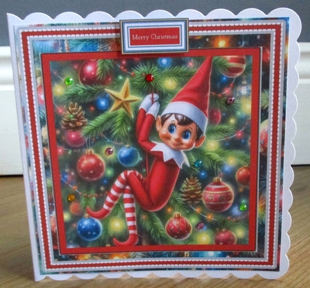 Naughty Elf has left the shelf by Johanna Lambert