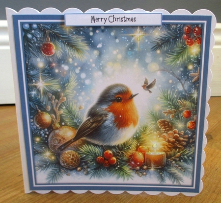 10 Sparkling Christmas Robin Scenes Card Fronts 8x8 inches JPEG by Johanna Lambert