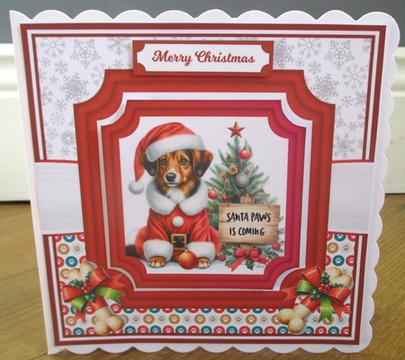SANTA PAWS IS COMING by Johanna Lambert