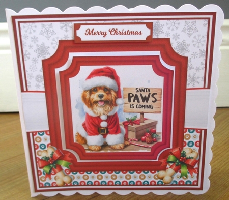 SANTA PAWS IS COMING by Johanna Lambert