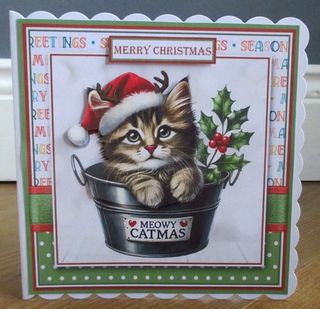 Meowy Catmas  by Johanna Lambert