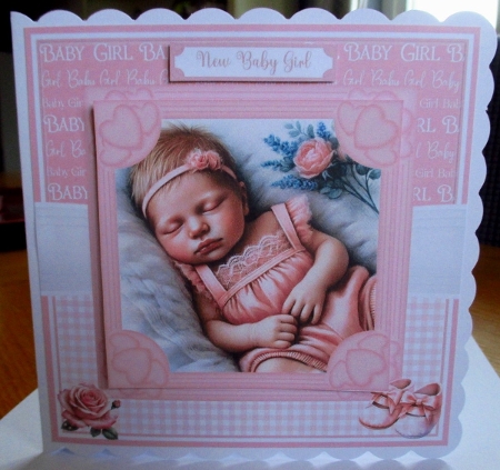 NEW BABY GIRLS IN PINK by Johanna Lambert