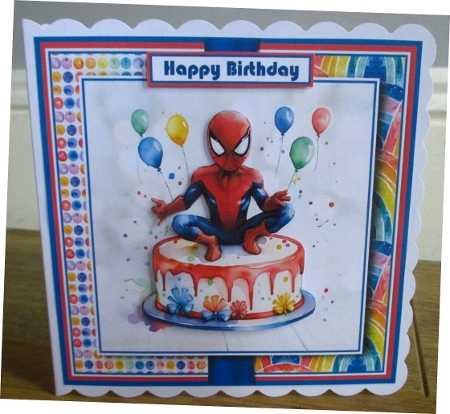 Spider Birthday  by Johanna Lambert
