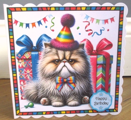 Grumpy Kitty  by Johanna Lambert
