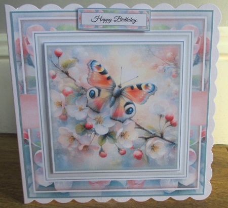 Apple Blossom Butterfly by Johanna Lambert