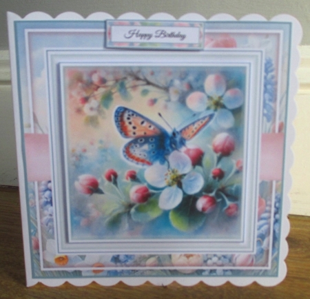 Apple Blossom Butterfly by Johanna Lambert