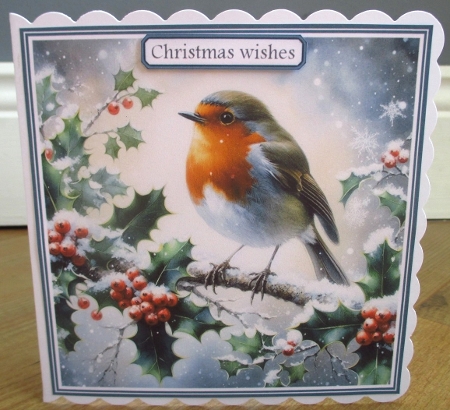 Christmas Robin by Johanna Lambert