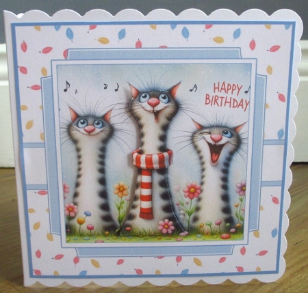 Birthday Funny Cats by Johanna Lambert