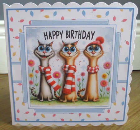 Birthday Funny Cats by Johanna Lambert