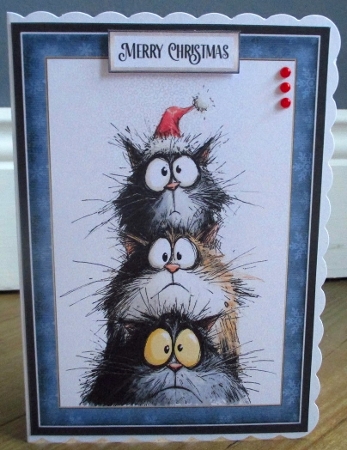 Its Cats Christmas Cards Kit-2 by Johanna Lambert
