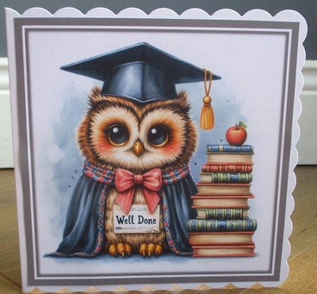 owl graduation card fronts by Johanna Lambert