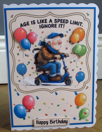 Age is like a speed limit 5x7 by Johanna Lambert