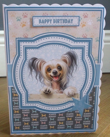 PEEKABOO DOGS - CHINESE CRESTED DOG - request by Johanna Lambert