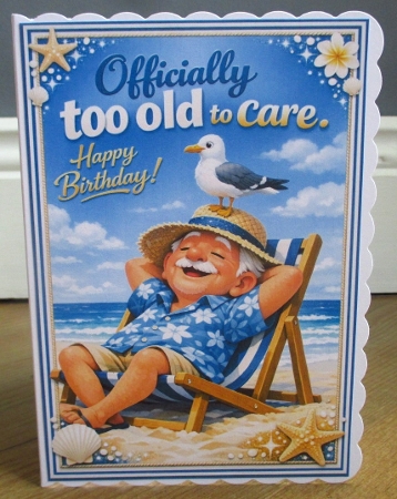 DD FUNNY SENIOR MALE BIRTHDAY A4 22 by Johanna Lambert