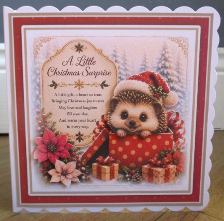 Christmas Surprise Mini Kit by Johanna Lambert