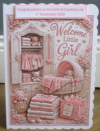 welcome little girl by Johanna Lambert