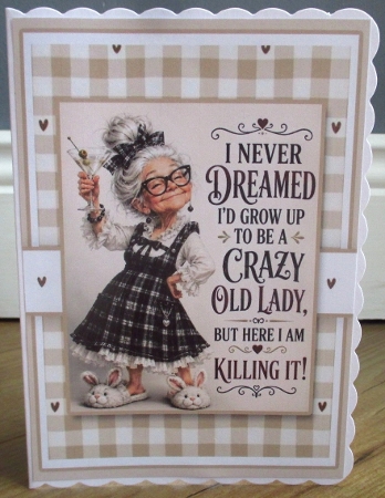 5x7 ~ Crazy Old Lady Killing It by Johanna Lambert