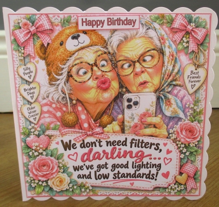 Older, Wiser, Crazier Mini Kit   by Johanna Lambert