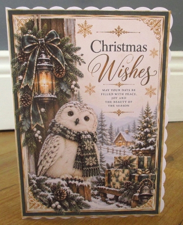 Christmas Owl  by Johanna Lambert