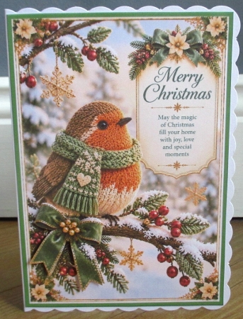 Sage And Snow Christmas Robin A4 Portrait Card Topper  by Johanna Lambert
