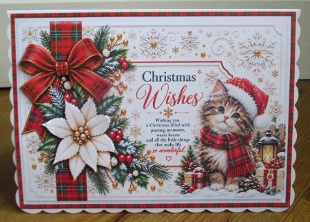 A Little Cat brings Christmas Cheer by Johanna Lambert