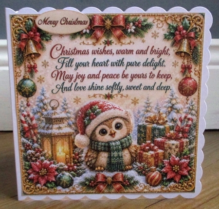 Christmas Owl Mini Kit **Includes 5X7, 6x6, 7x7 8X8 Card Bases** Featured Gallery Photo