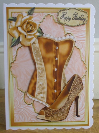 Beautiful Gold Corset & Shoe by Johanna Lambert