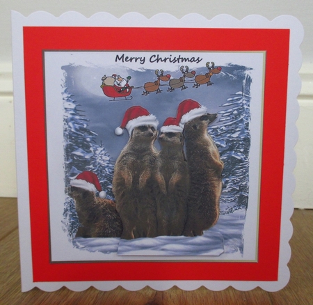 Meerkat Christmas by Johanna Lambert