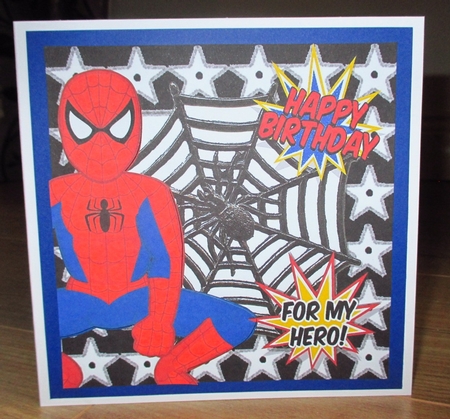 Birthday Boy! for My Hero Spiderman in Web 8x8 by Johanna Lambert