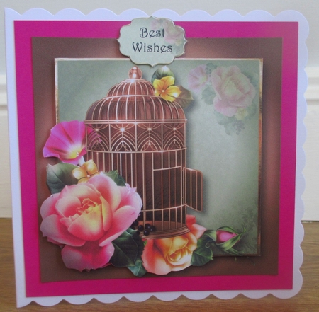 Vintage Birdcage & Roses by Johanna Lambert