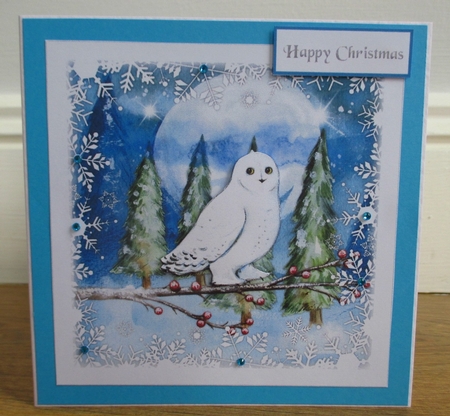 Snow Owl by Johanna Lambert