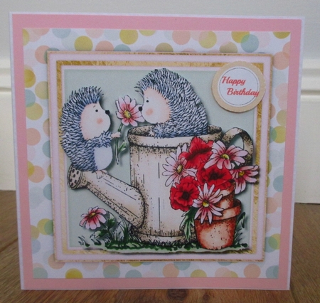 Hedgehog Popsy Daisy  by Johanna Lambert