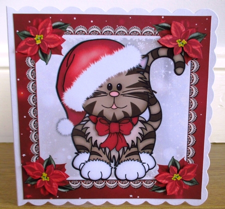 Gorgeous Santa Cat 8x8 by Johanna Lambert