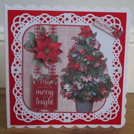 Christmas tree and poinsettias  by Johanna Lambert