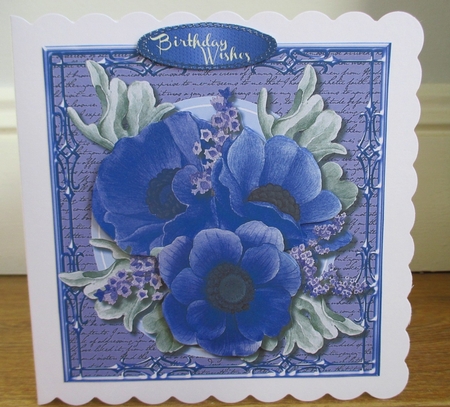 Beautiful Anemones on a Script Mat by Johanna Lambert