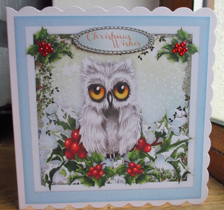 Owl in the Holly Tree by Johanna Lambert