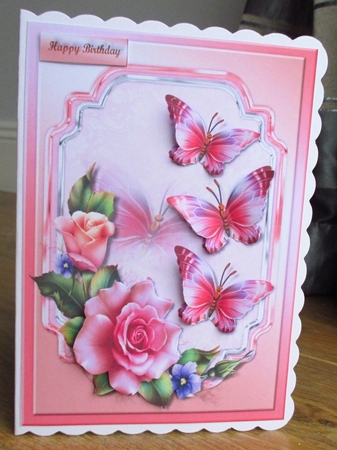 Beautiful Roses & Butterflies  by Johanna Lambert