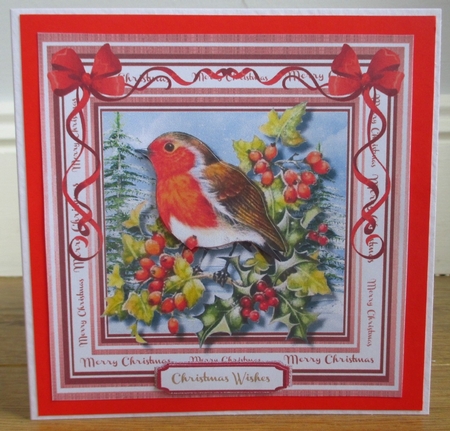 Beautiful Robin and Berrys  by Johanna Lambert