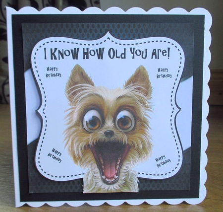 I Know How Old You Are! 8x8 by Johanna Lambert