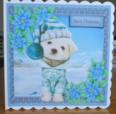 Gorgeous Dog In Bobble Hat With Blue Flowers 6x6  by Johanna Lambert