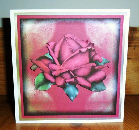 Single Red Rose Blossom by Johanna Lambert