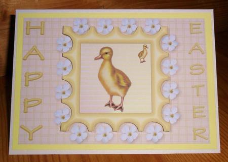 Easter Chick by Johanna Lambert